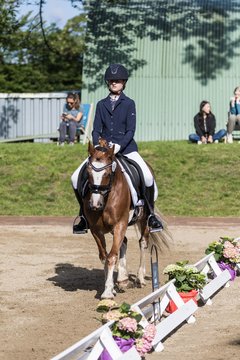 Bild 319 - Pony Akademie Turnier
